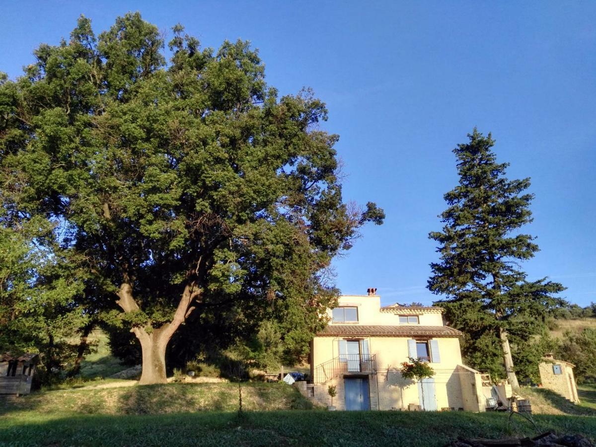 Maison D'Hotes Du Grand Chene Валансоль Экстерьер фото