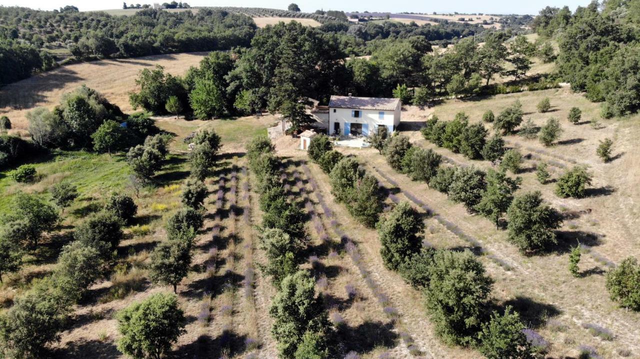 Maison D'Hotes Du Grand Chene Валансоль Экстерьер фото